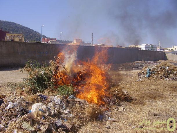 جانب من الأزبال والأعشاب أثناء الحرق جانب من الأزبال والأعشاب أثناء الحرق