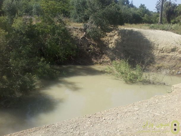 البركة حيث وقع الحادث
