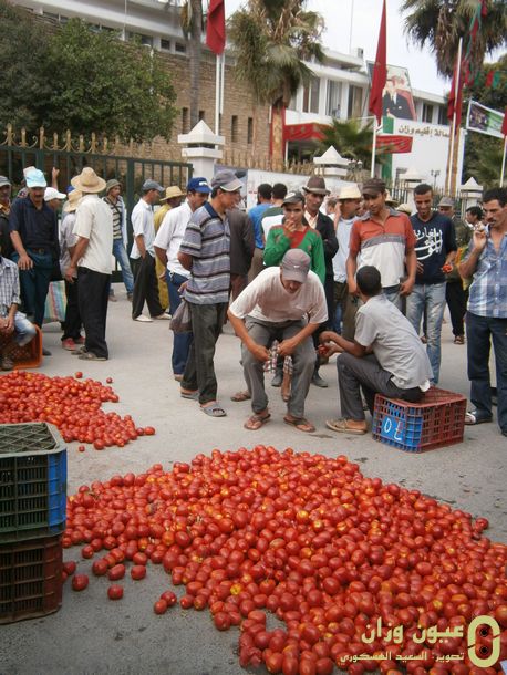 طماطم أمام مقر العمالة