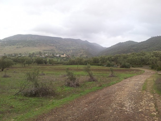 دوار الجزيرة المحاذي لدوار الزواقين