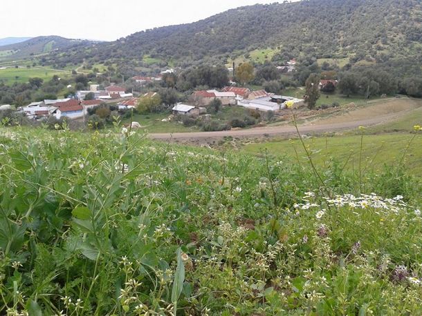 صورة لدوار السبيت التابع لجماعة بني كلة