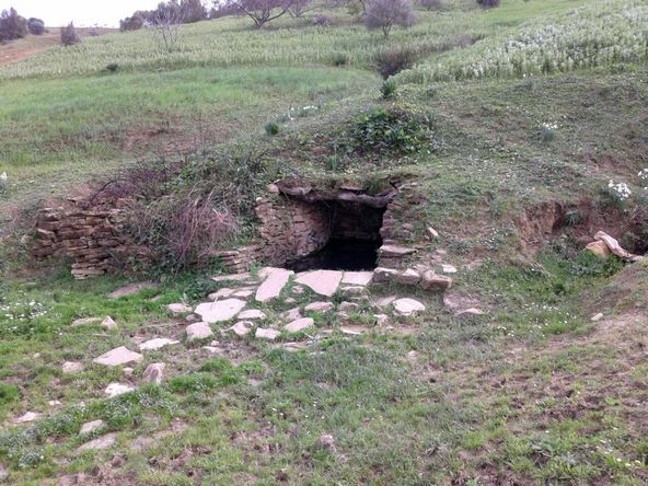 عين قطة