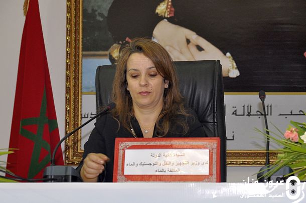 شرفات أفيلال، كاتبة الدولة المكلفة بالماء